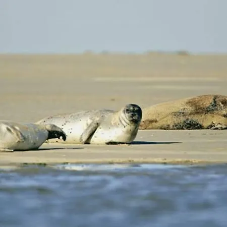 Lejlighed Les Bernaches Le Crotoy