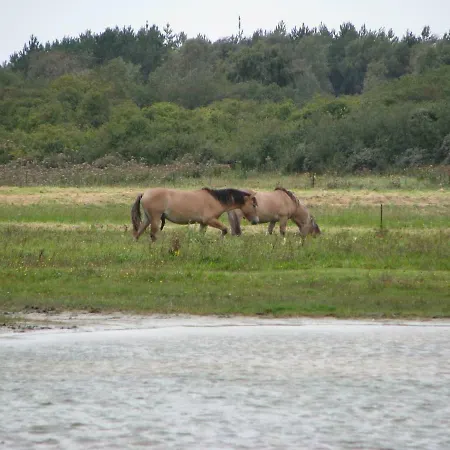 Les Bernaches Lejlighed *