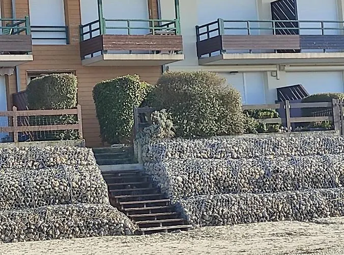 Les Bernaches Le Crotoy