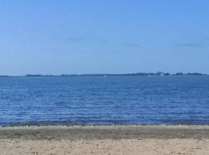 Les Bernaches Le Crotoy