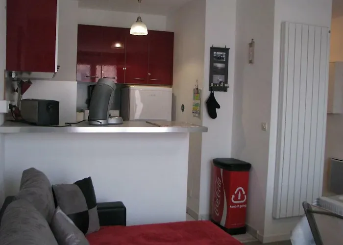 Les Bernaches Le Crotoy