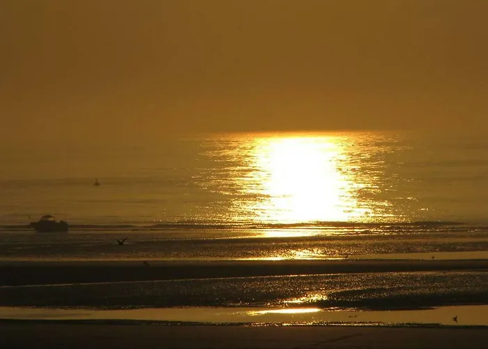 Les Bernaches Apartment *