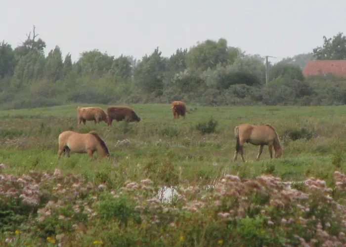 Apartment Les Bernaches