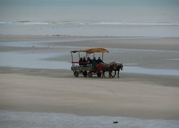 Les Bernaches Apartment