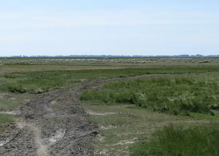 Apartment Les Bernaches Le Crotoy