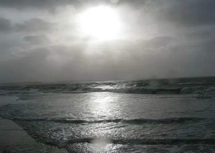 Les Bernaches Apartment *