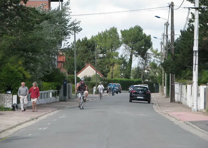 Les Bernaches Le Crotoy